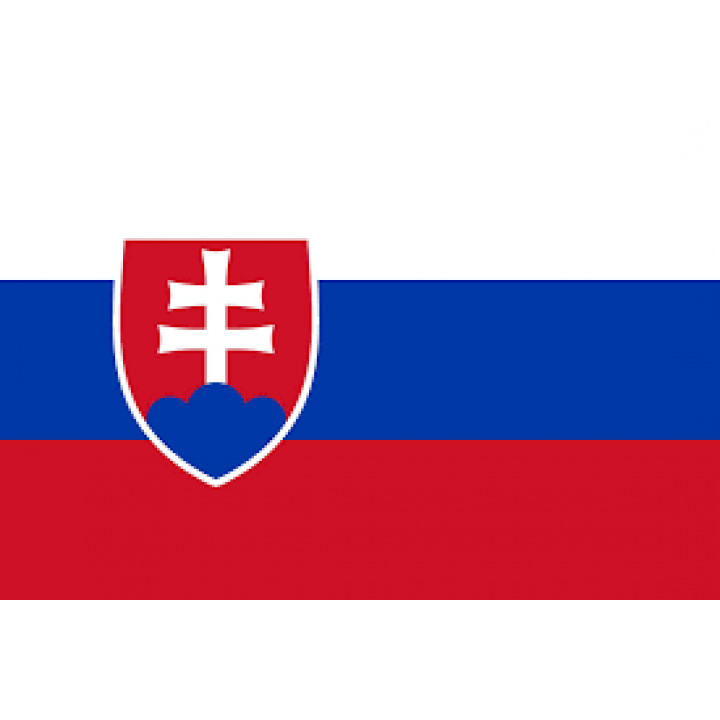 Delegovanie člena do volebnej komisie